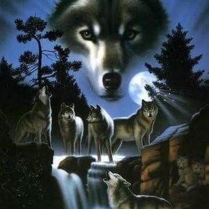 Meet your Posher, Marco